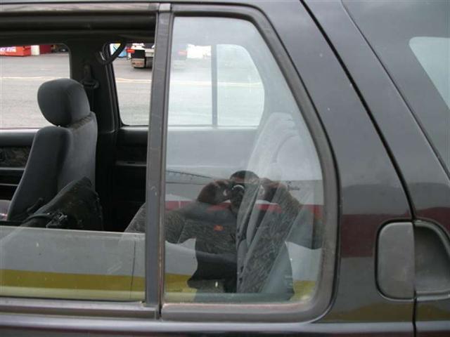 Nissan Pathfinder R50 1996-1999 LR Quarter Glass