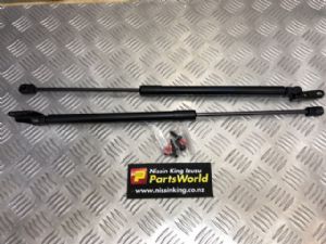 Nissan Murano Z50 2002-2007 Tailgate Struts (Set)